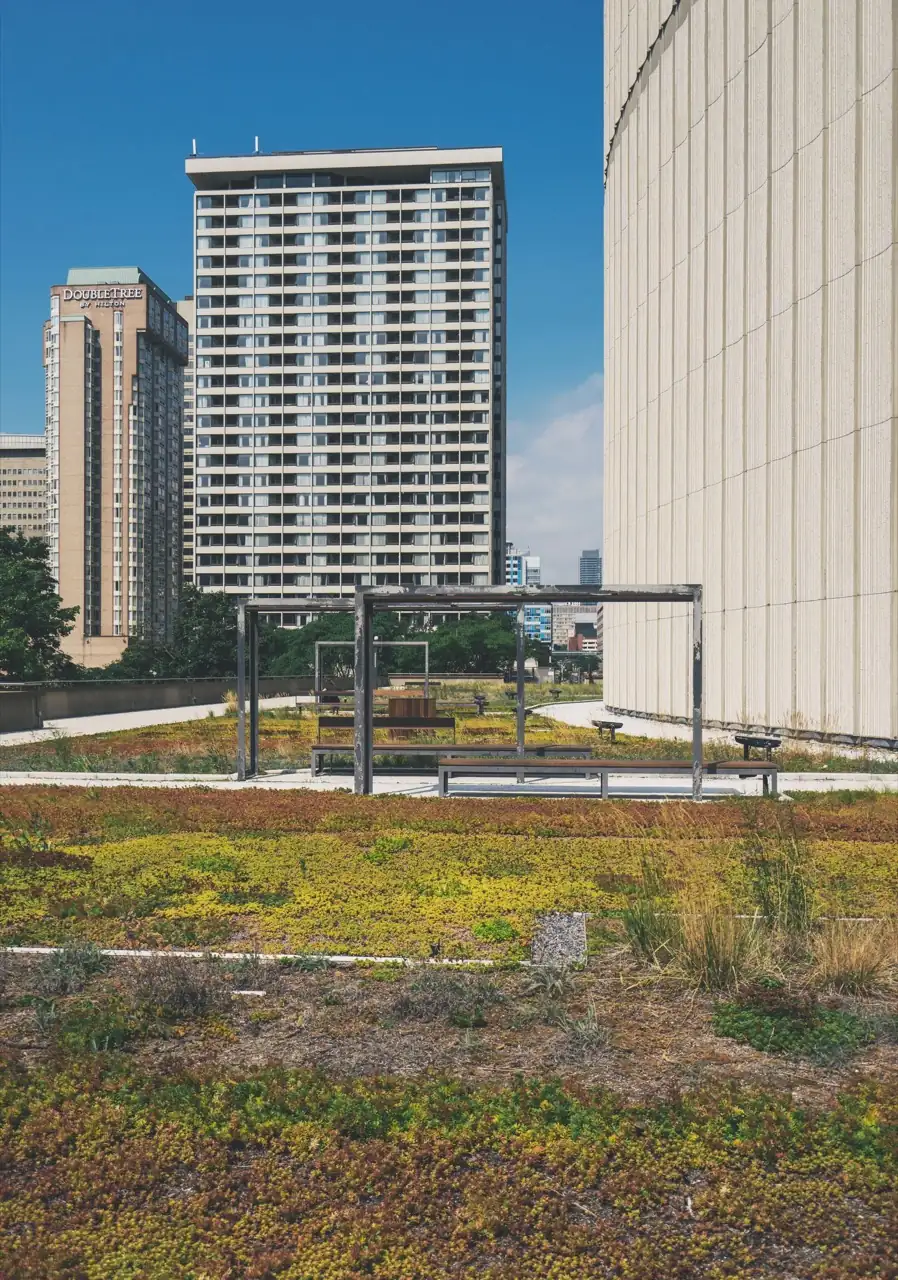 Flat rooftops with planting in front of downtown Toronto towers